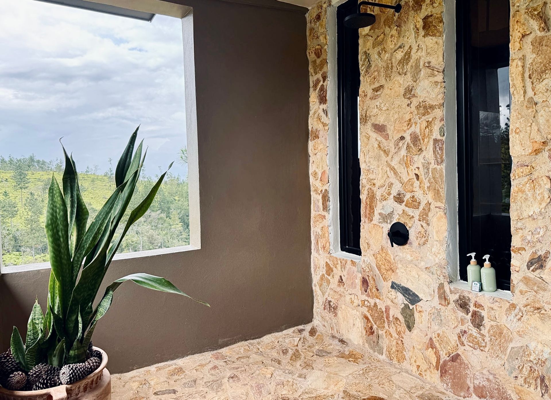 A potted plant is sitting in front of a stone wall next to a window.