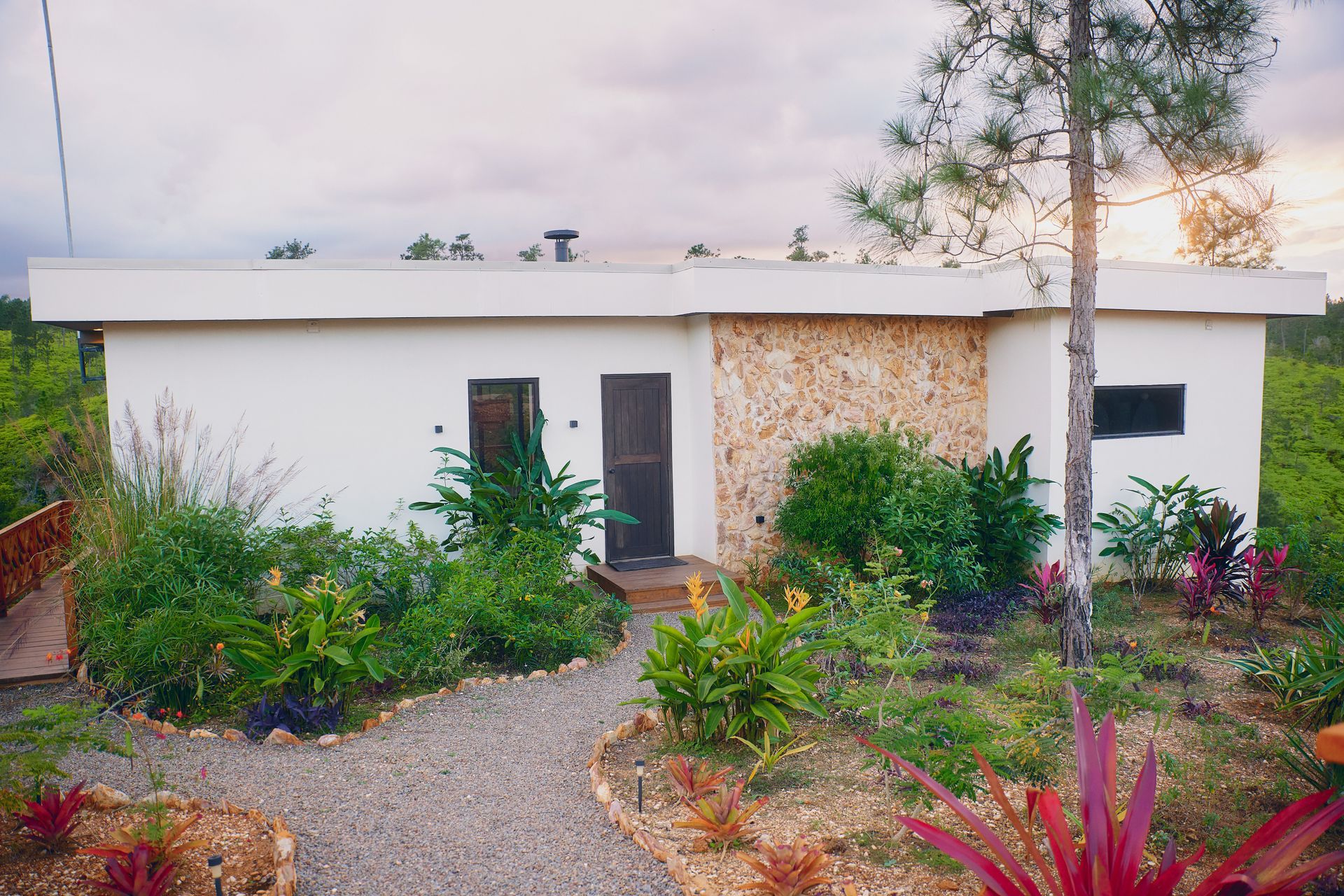 White cottage with stone accent, surrounded by plants and gravel path.