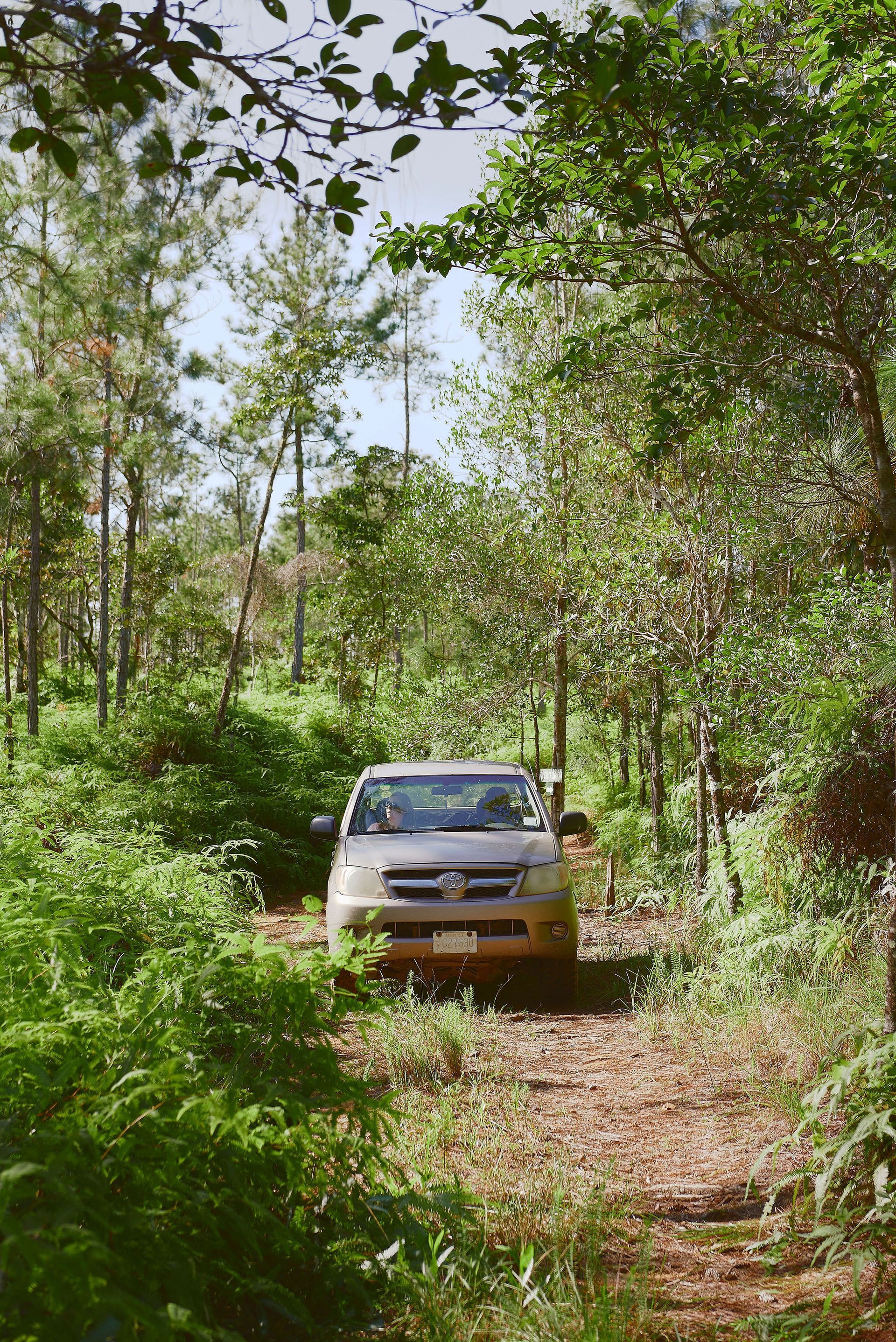A car is driving down a dirt road in the woods.