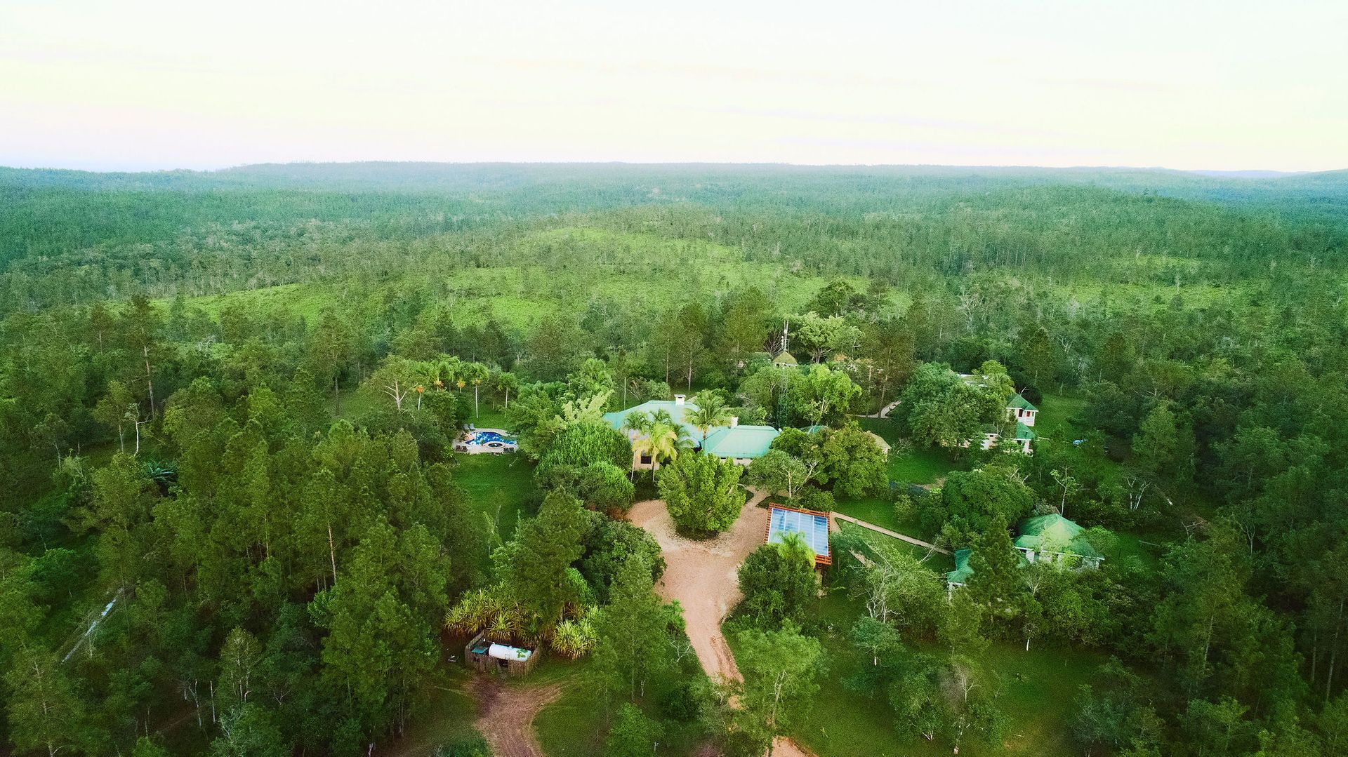 An aerial view of a lush green forest with a house in the middle.