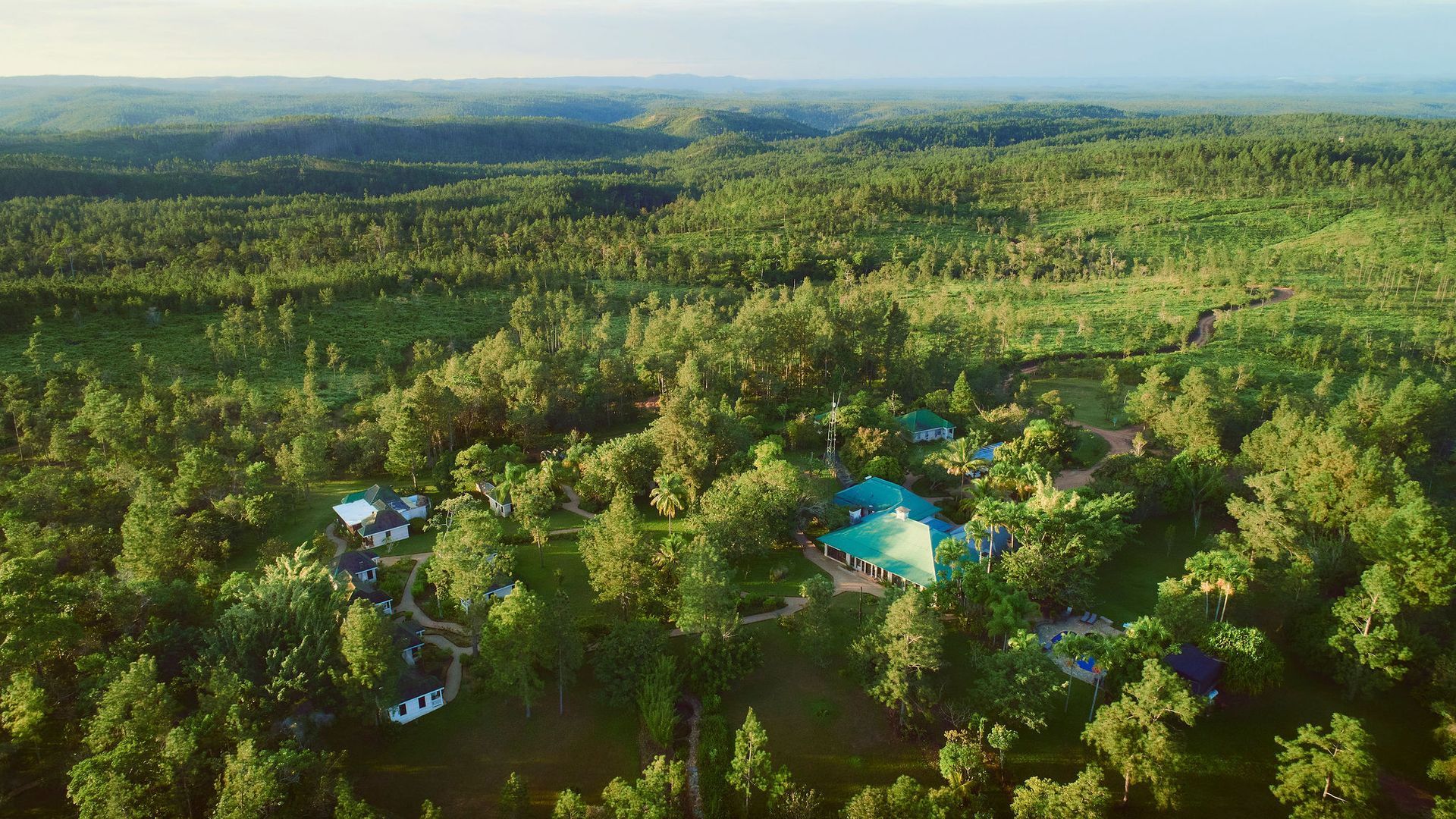 An aerial view of a lush green forest with a house in the middle.