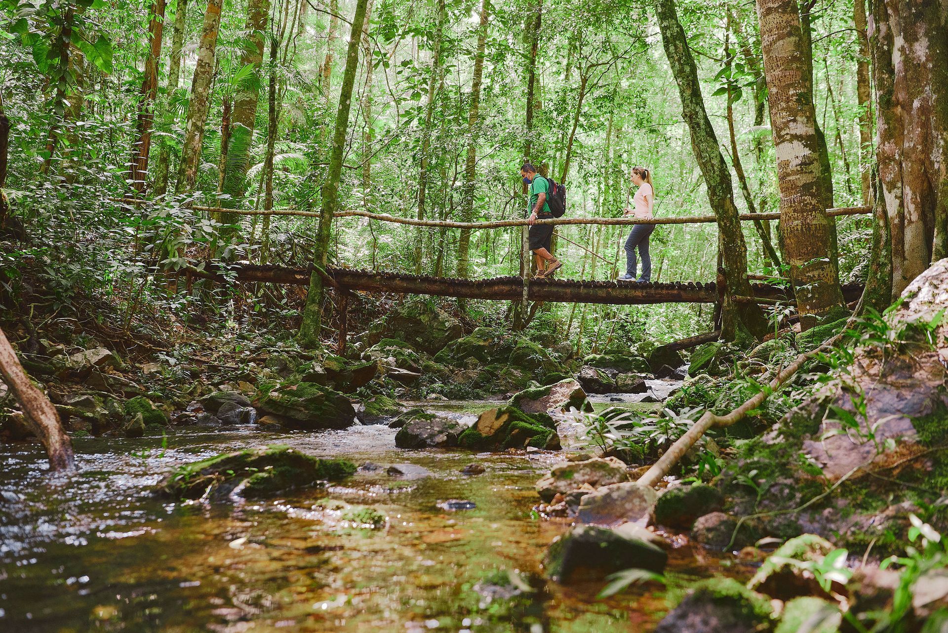 Two people stand on a wooden bridge over a stream in a lush green forest.