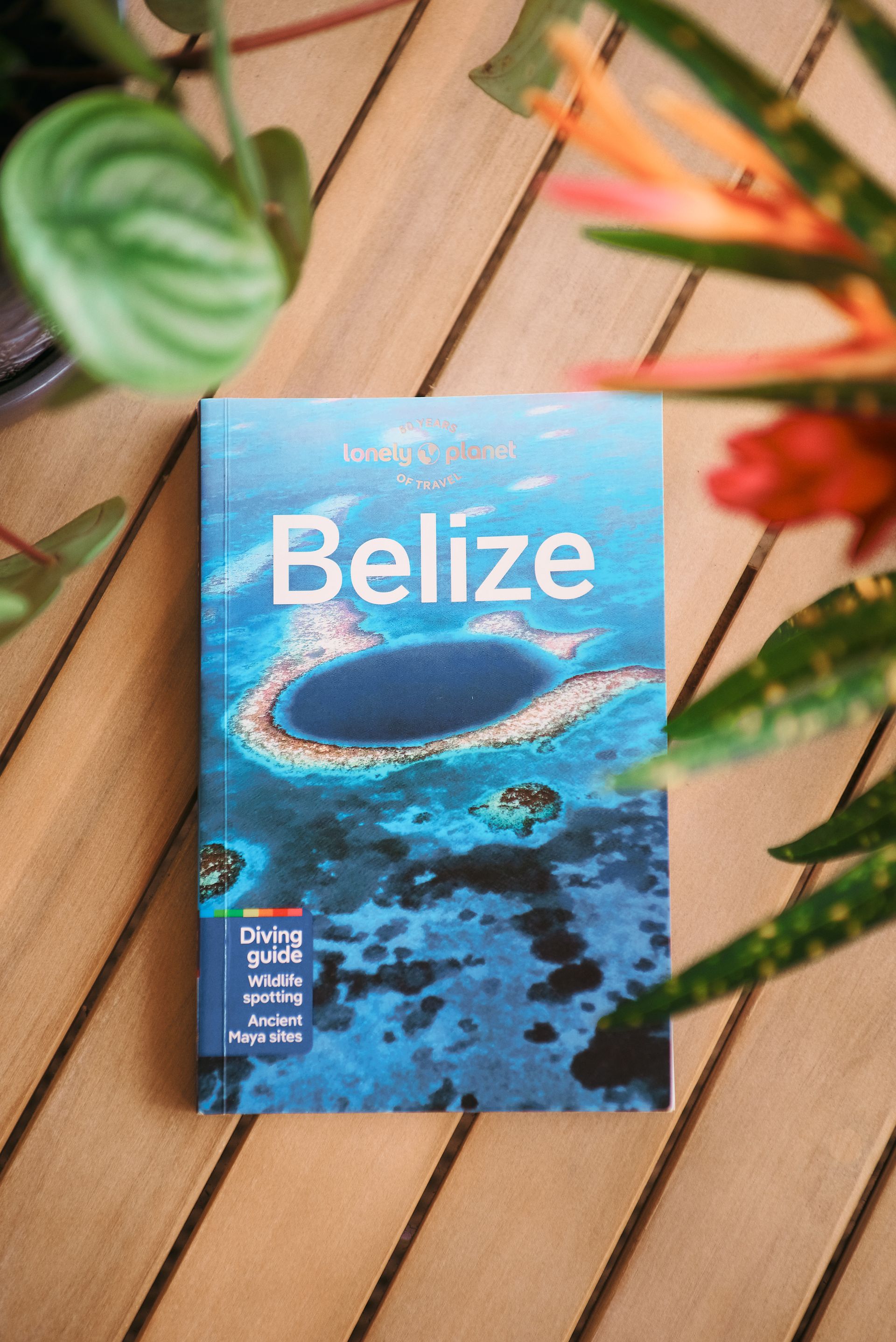 A book titled belize is sitting on a wooden table next to a plant.