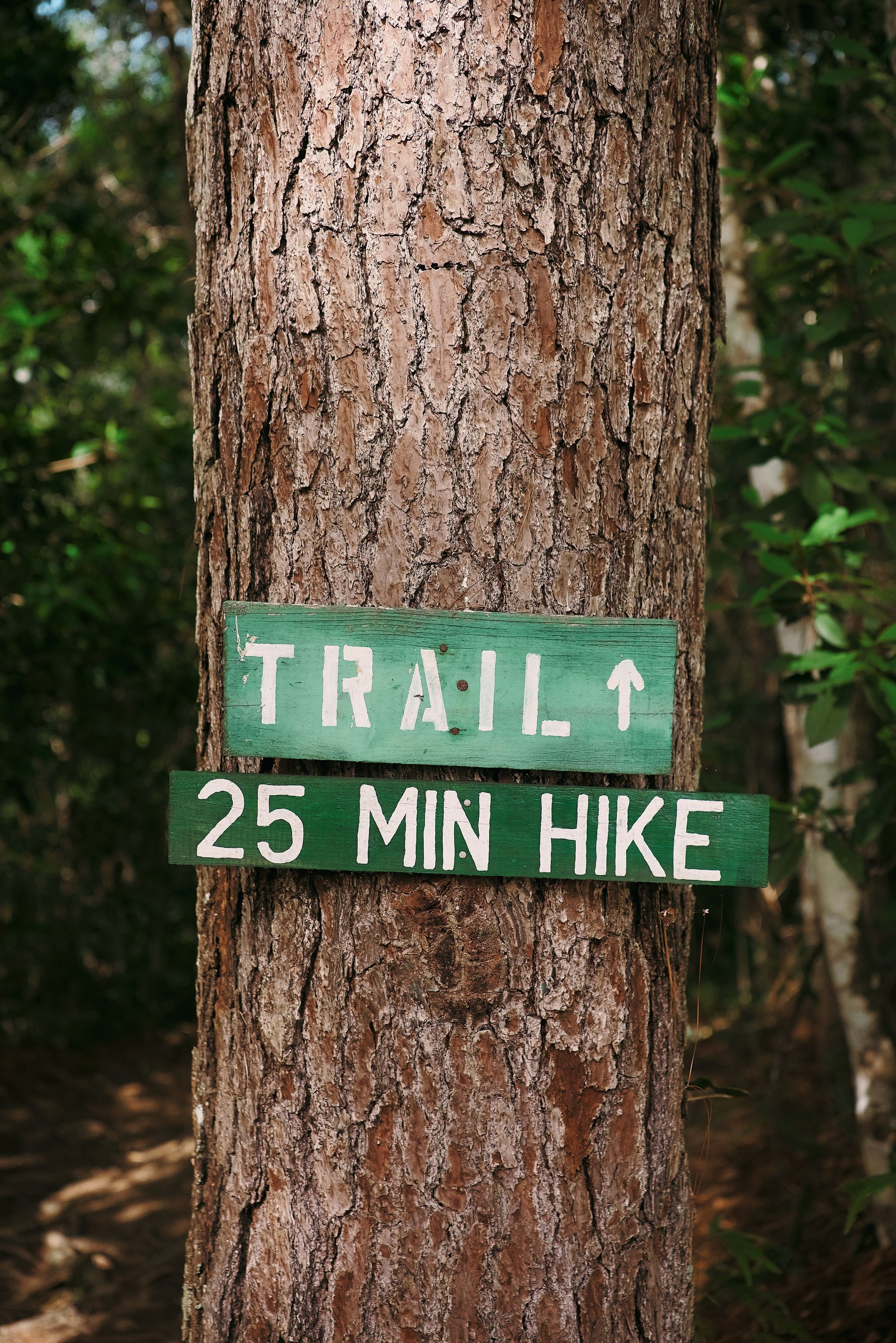 A tree with a sign on it that says trail 25 min hike.