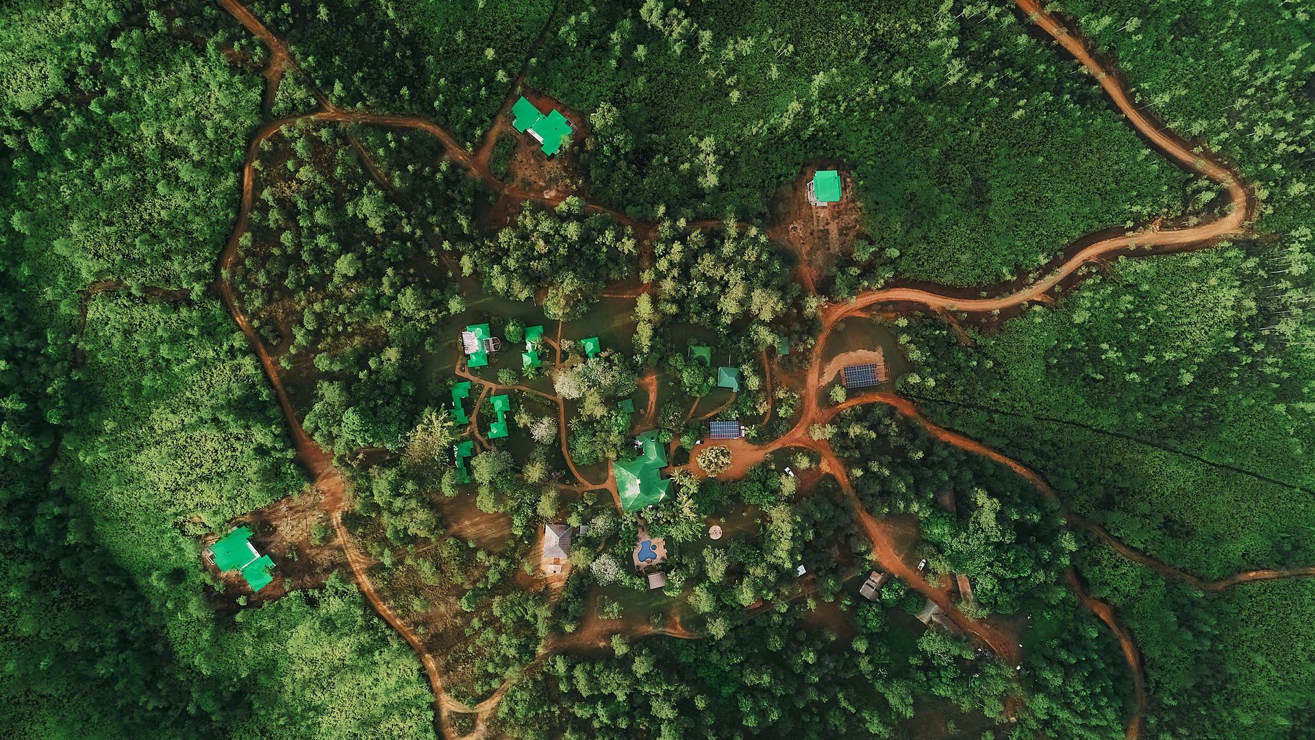 An aerial view of a lush green forest with a dirt road going through it.