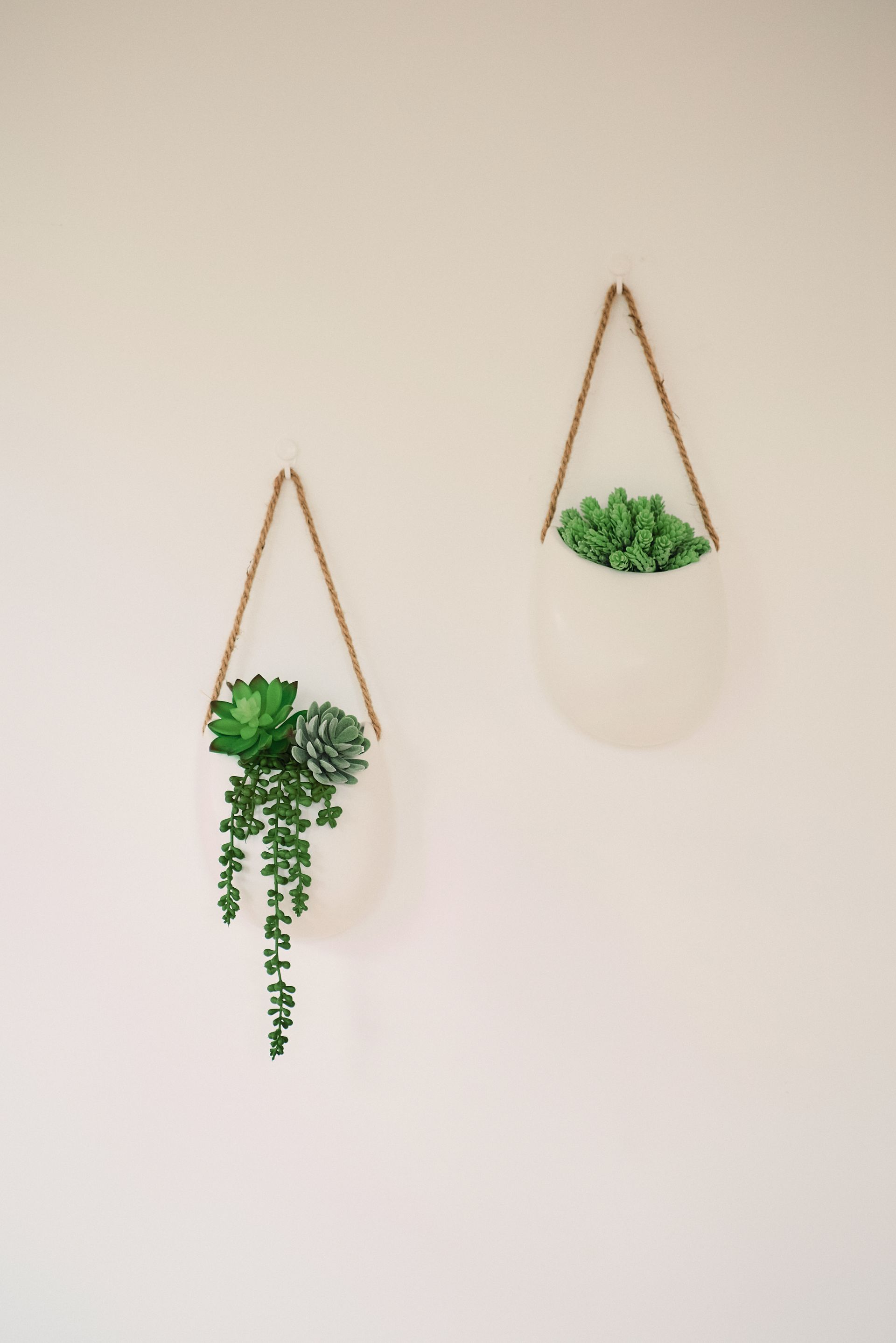 Two potted plants are hanging on a white wall.
