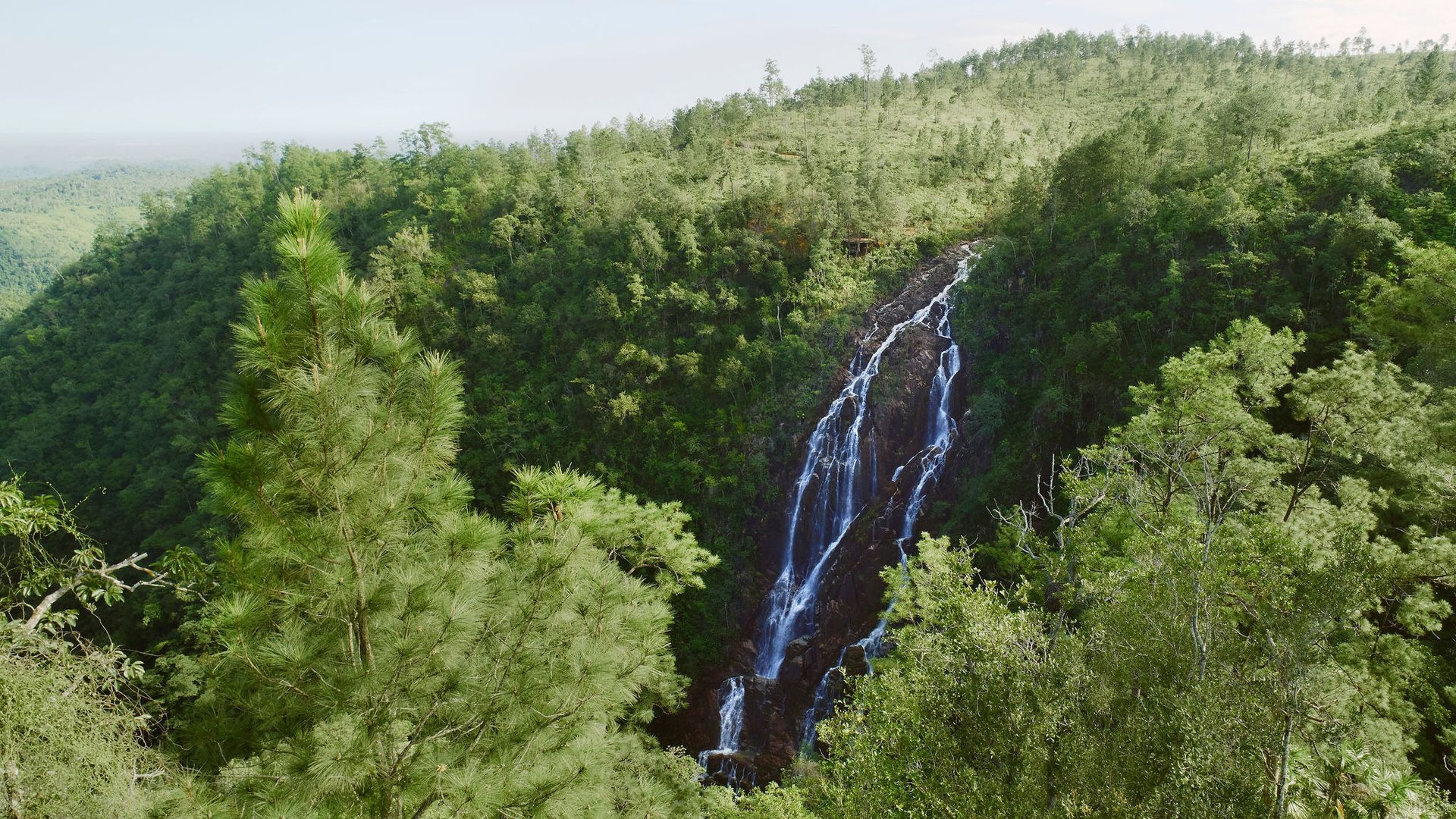 An aerial view of a waterfall in the middle of a forest.