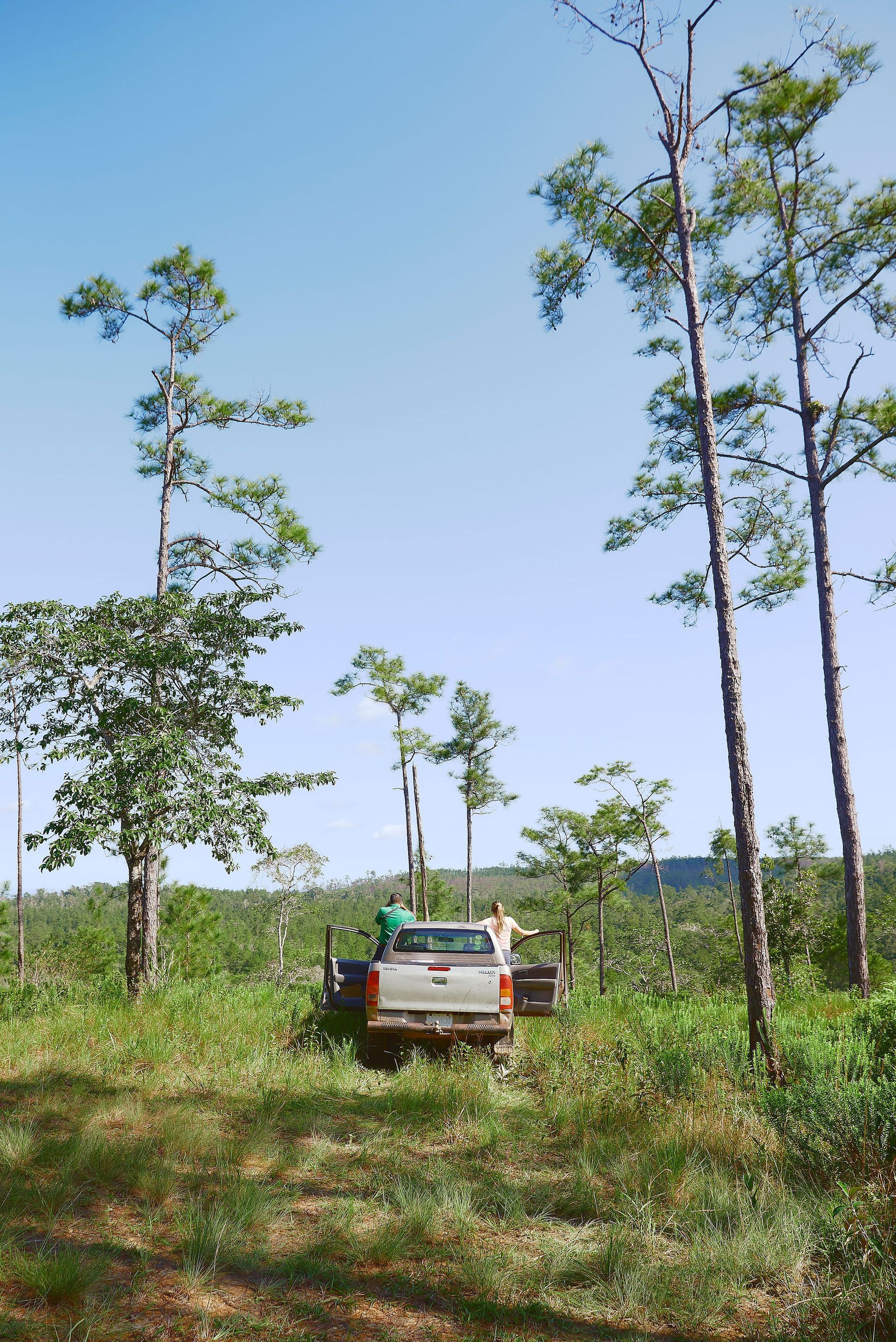 A truck is parked in a grassy field with trees in the background
