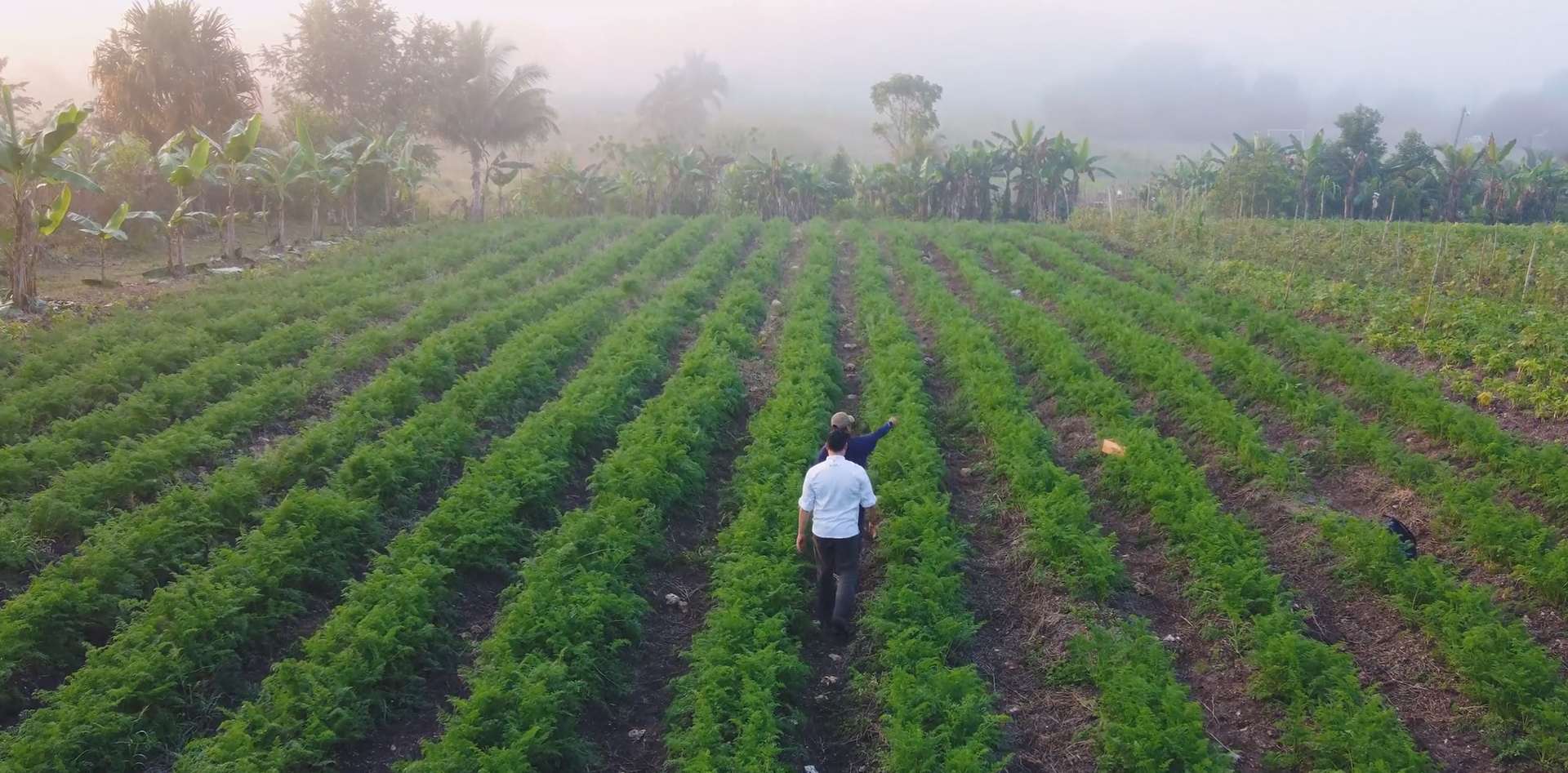 Guests exploring Hidden Valley’s Farm To Table Experience, showcasing organic and locally grown produce.