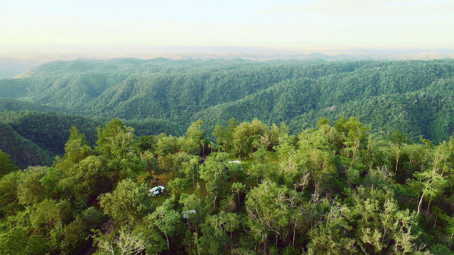 Forest, Jungle, Pine Forest, Private Reserve, Private Jungle, Mountains, Mountain Views