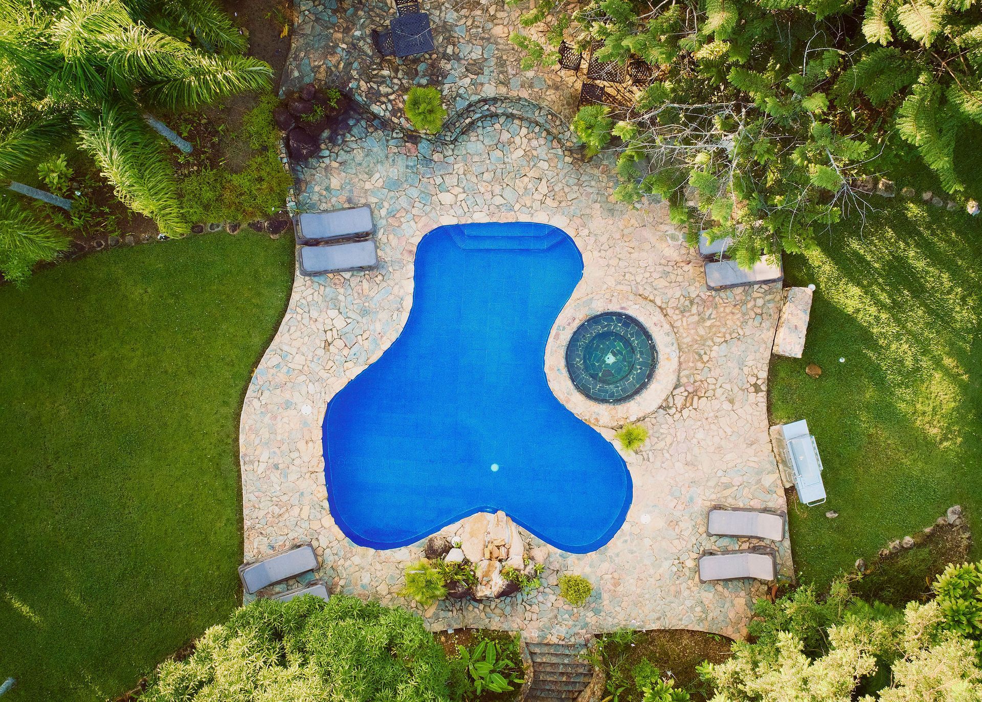 Pool, Swimming Pool, Hot Tub, Jacuzzi, Garden, Forest, Jungle, Lounge Chairs