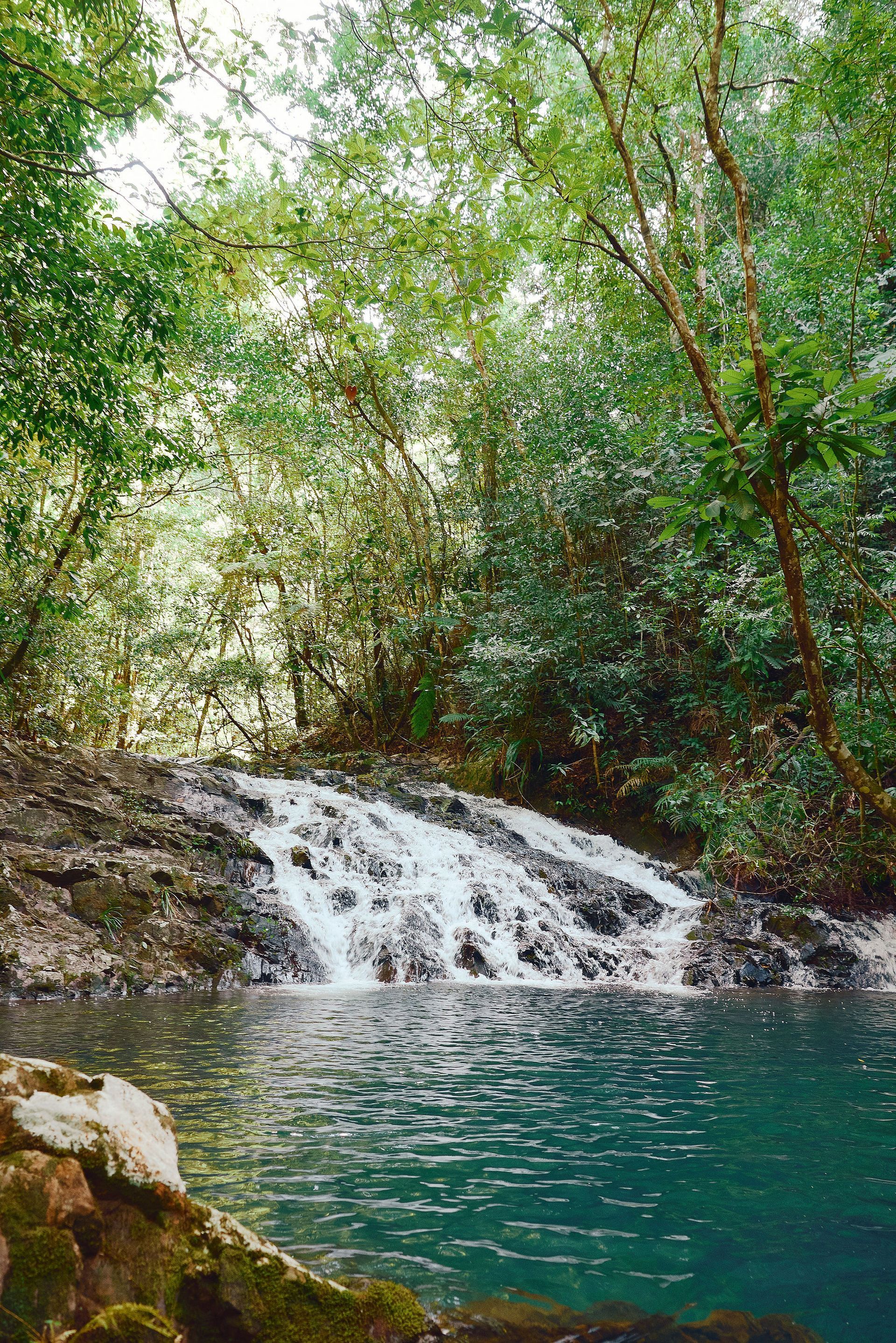 Waterfall, cascade, Hidden Pools, Jungle