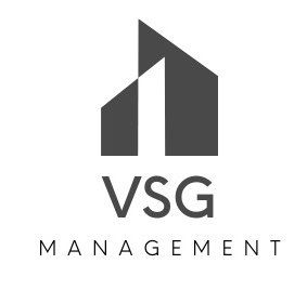 VSG logotipo