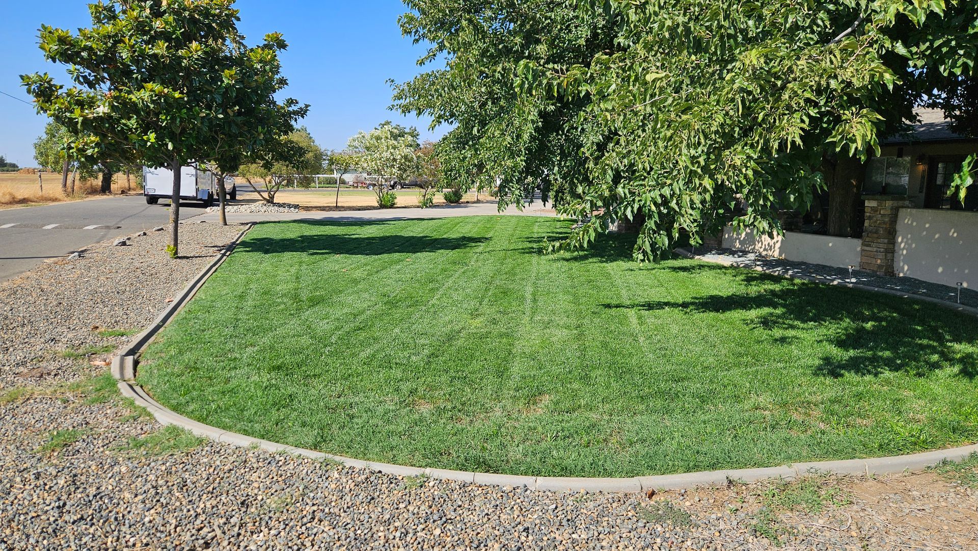 fresh cut lawn