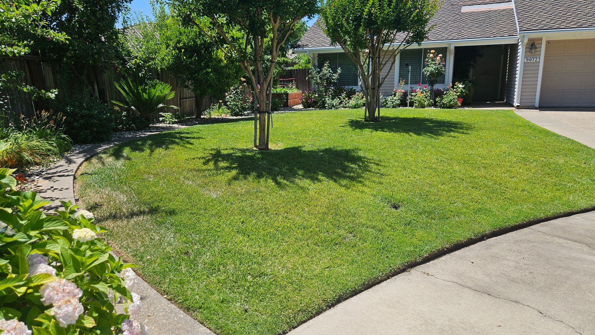 White gazebo with ornate detailing, surrounded by green shrubs and trees, under a blue sky.