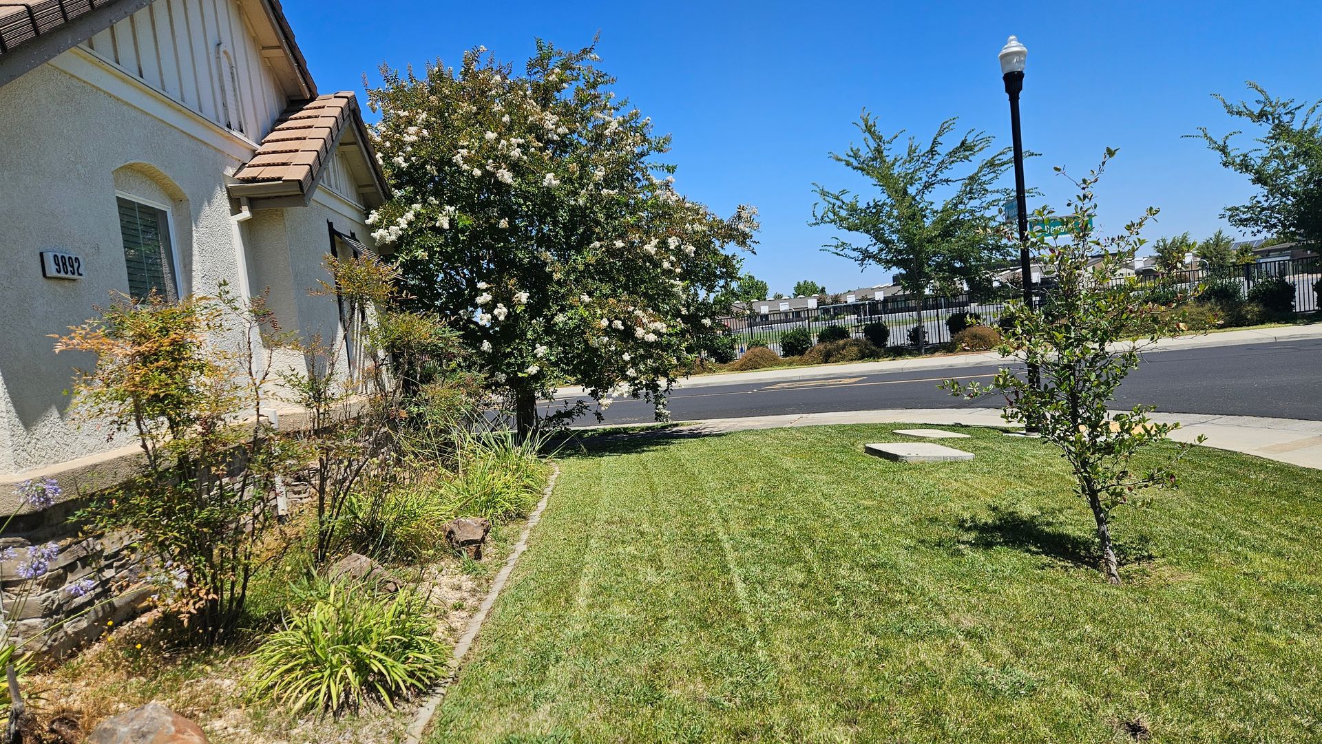 Curb ramp leads to a house with a small lawn and partially overgrown vegetation in front.