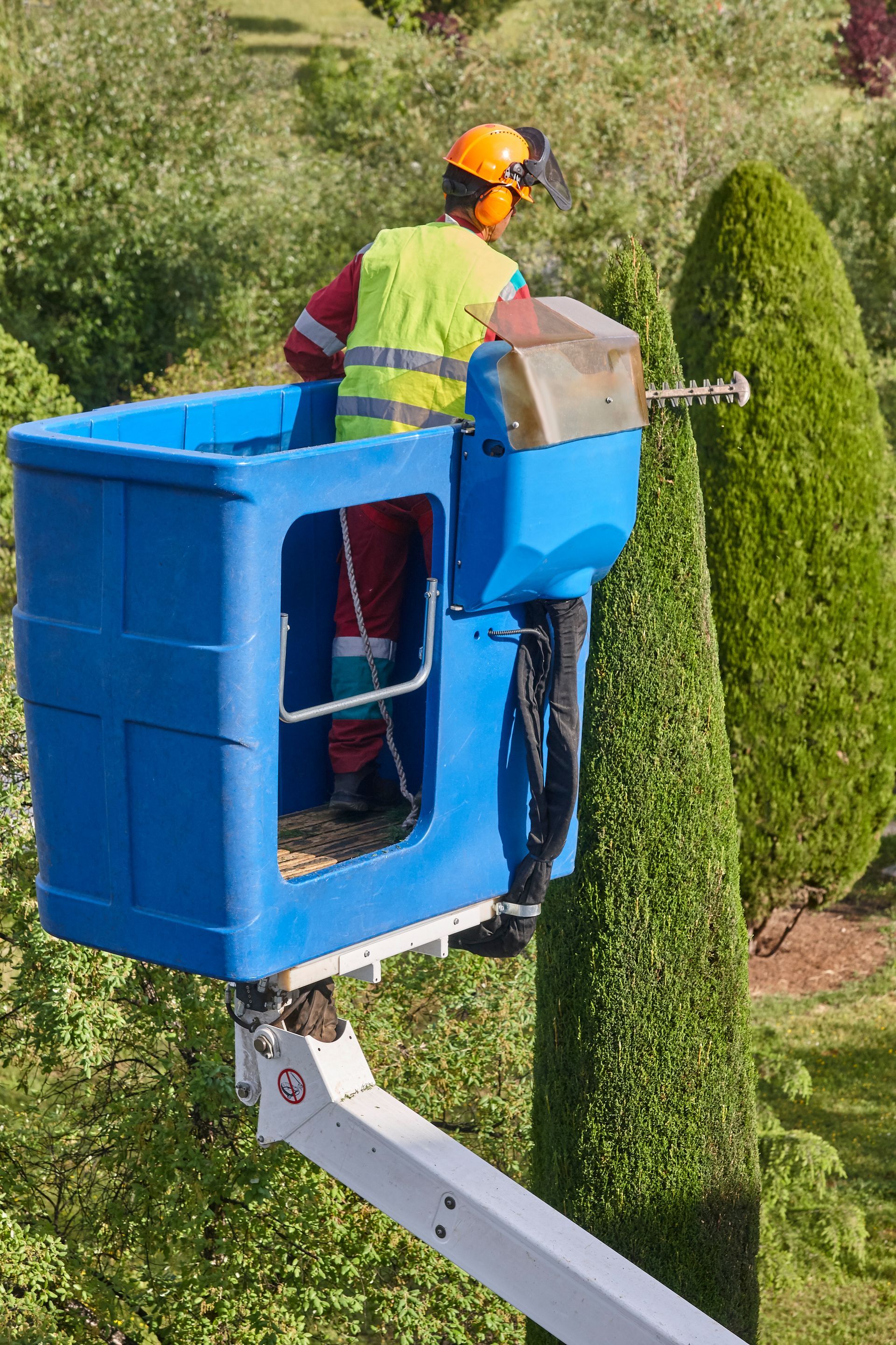 lawn care in Hood, CA