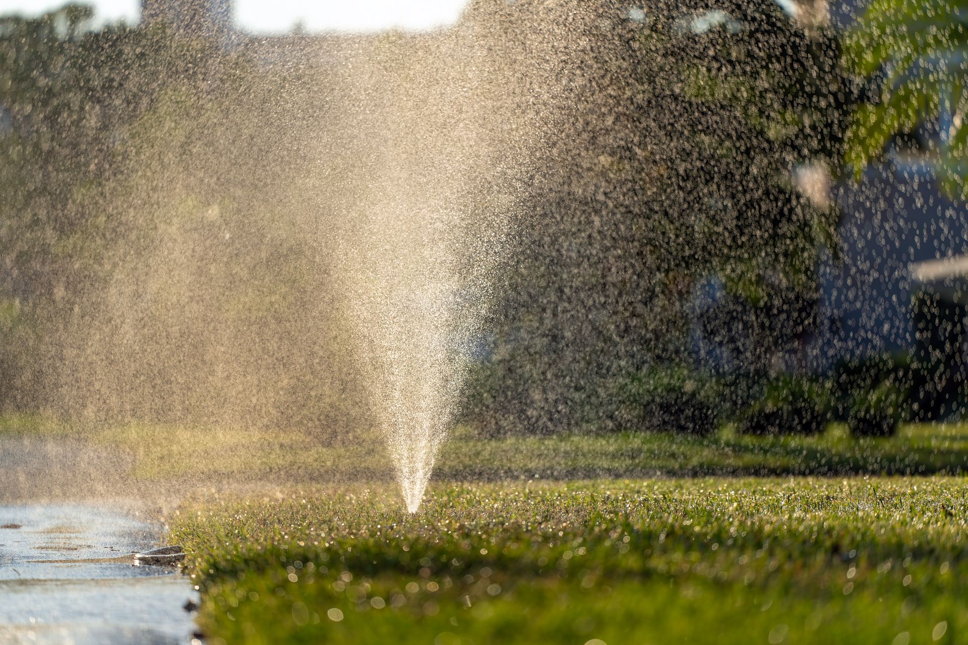 lawn sprinkler in Sacramento