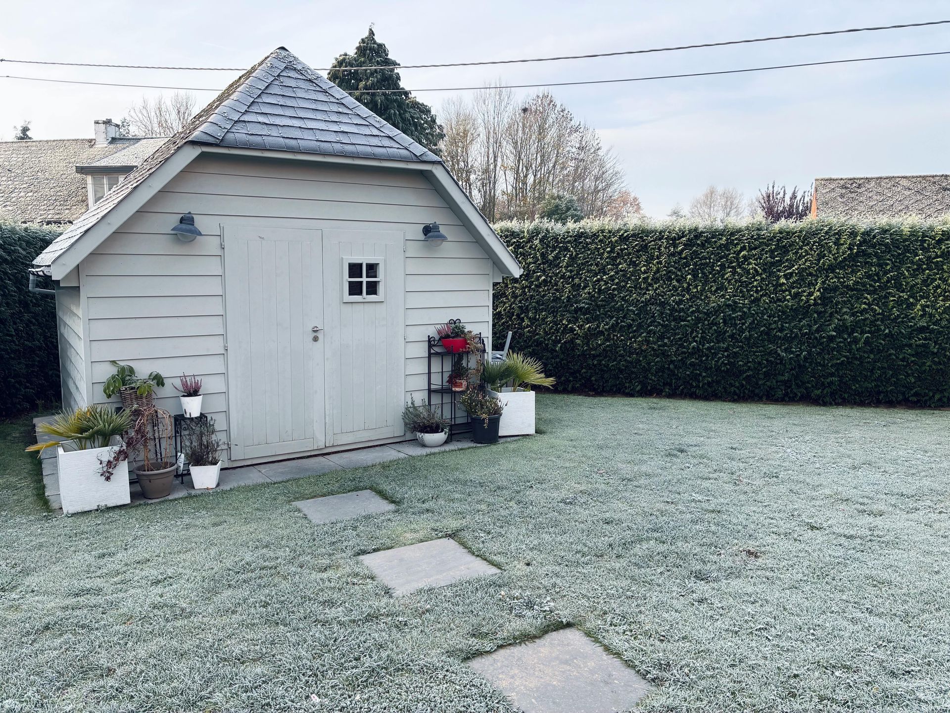 Sacramento lawn with morning frost showing winter lawn care needs