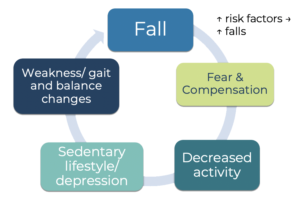 CDC Highlights Need for Fall Prevention Physical Therapy