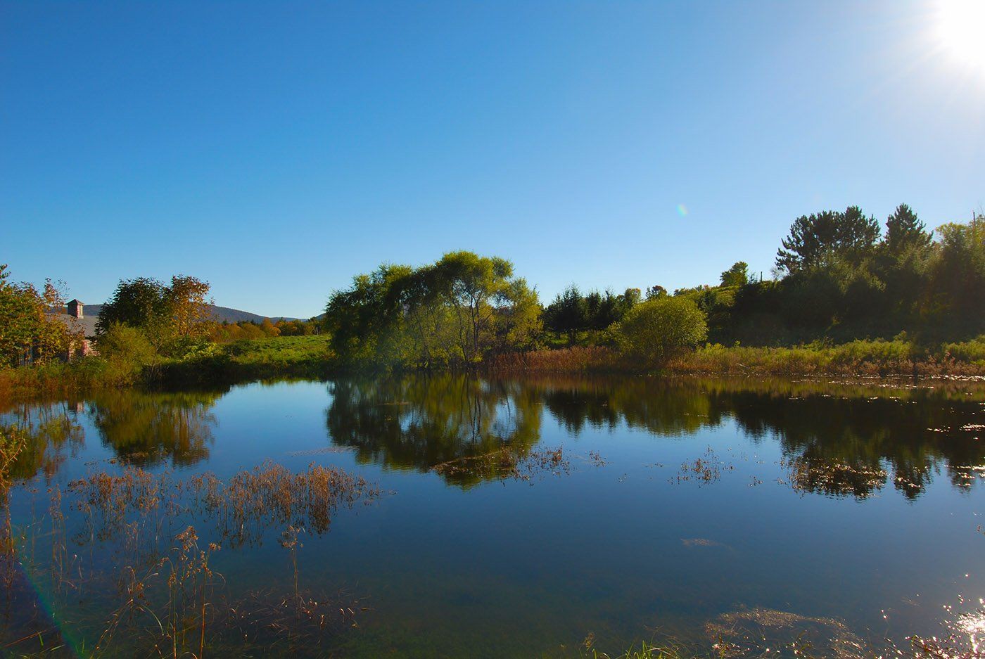 Mountain View Wedding Venues NY Adena Orchard & Vine