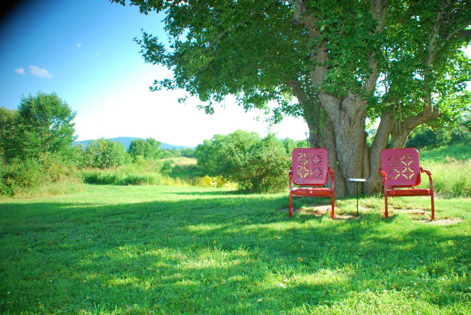 Mountain View Wedding Venues NY Adena Orchard & Vine