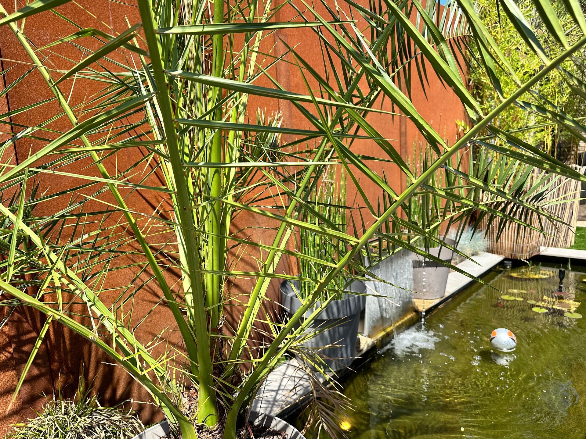 Le Jardin exotique, espace extérieur W'O Waterloo