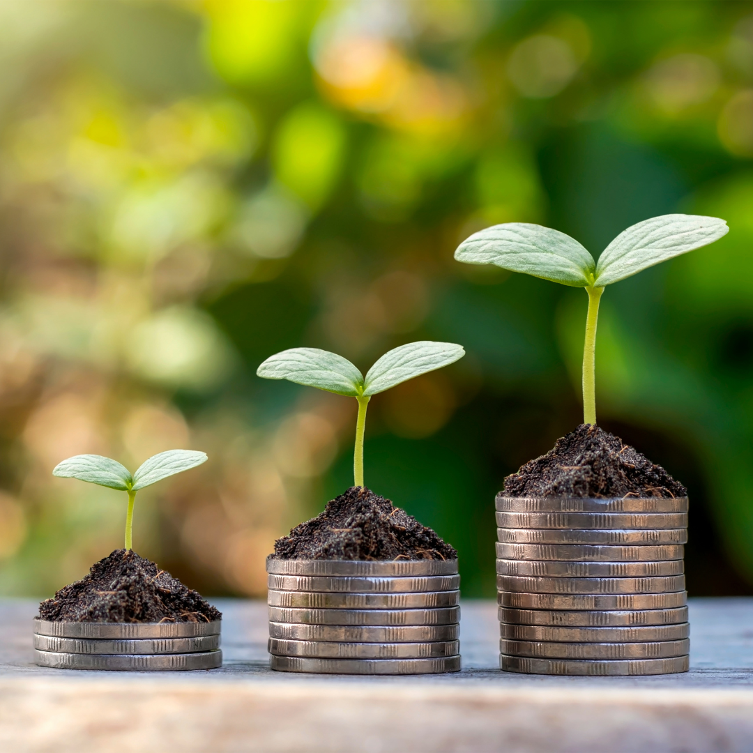 Pennies with plants