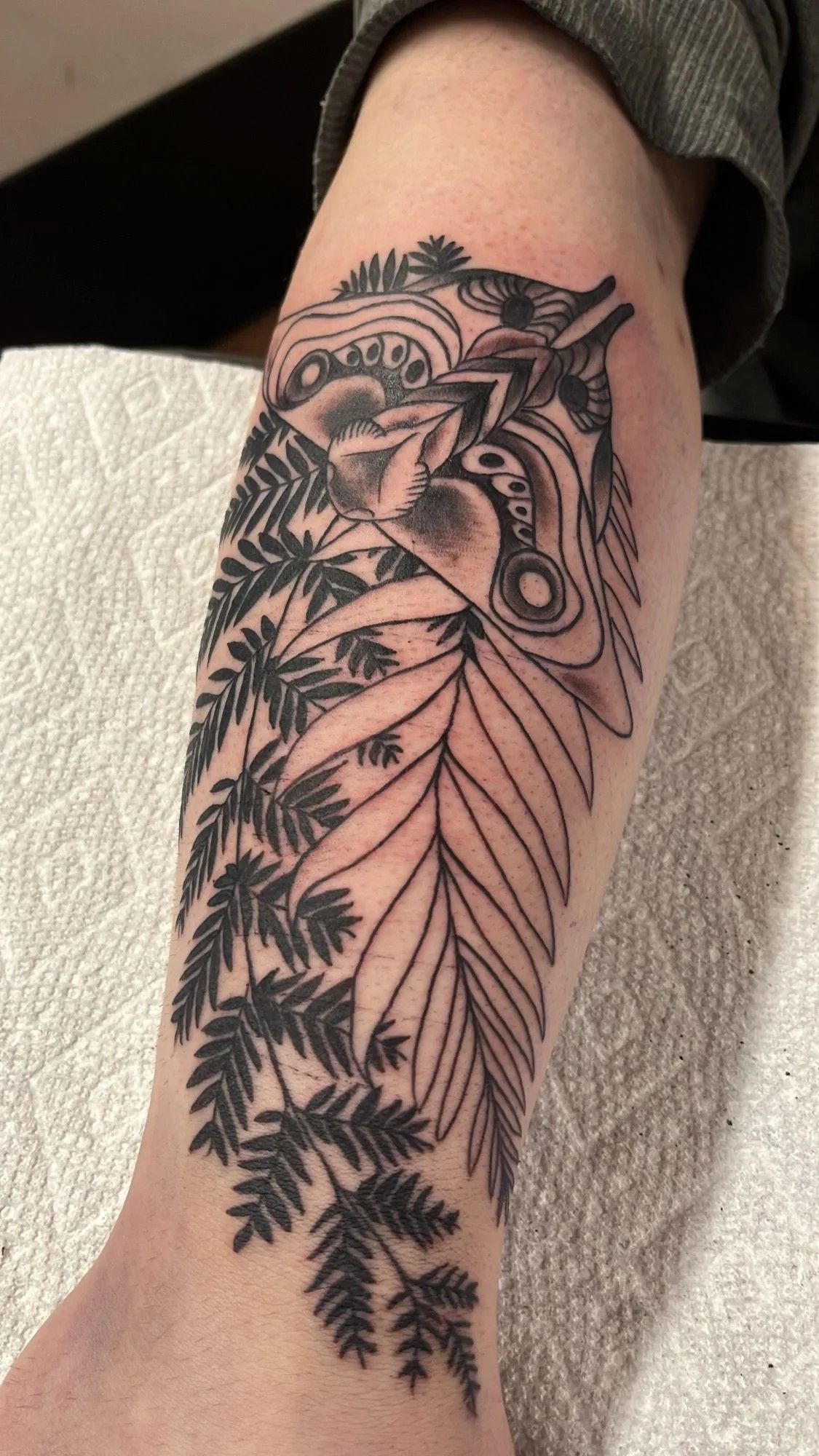 Tattoo on an arm: Ferns, leaves, and a complex abstract design. Black and white ink.