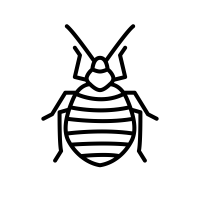 A bed bug icon in outline style on a white background.