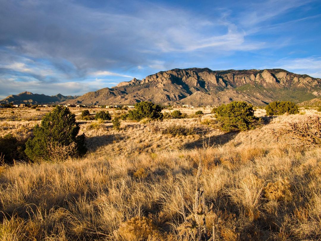 A wide, sunlit view of a desert landscape featuring dry grasses, scattered shrubs, and a rugged mountain range.