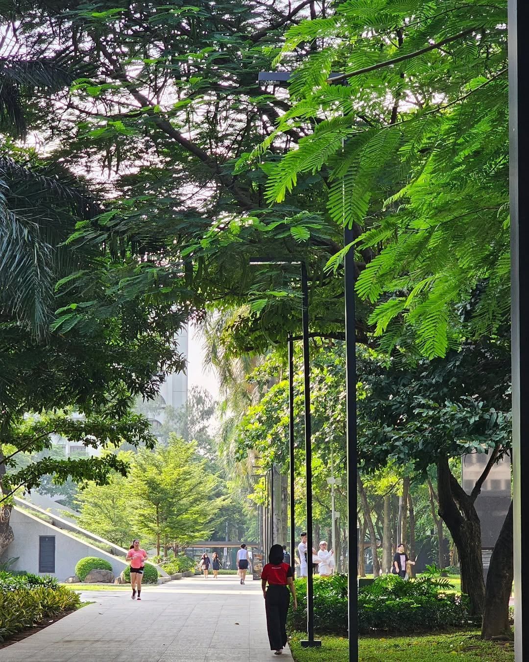 A peaceful walking path in Washington SyCip Park, a nearby green space with art installations perfect for guests staying at hotels near Greenbelt.
