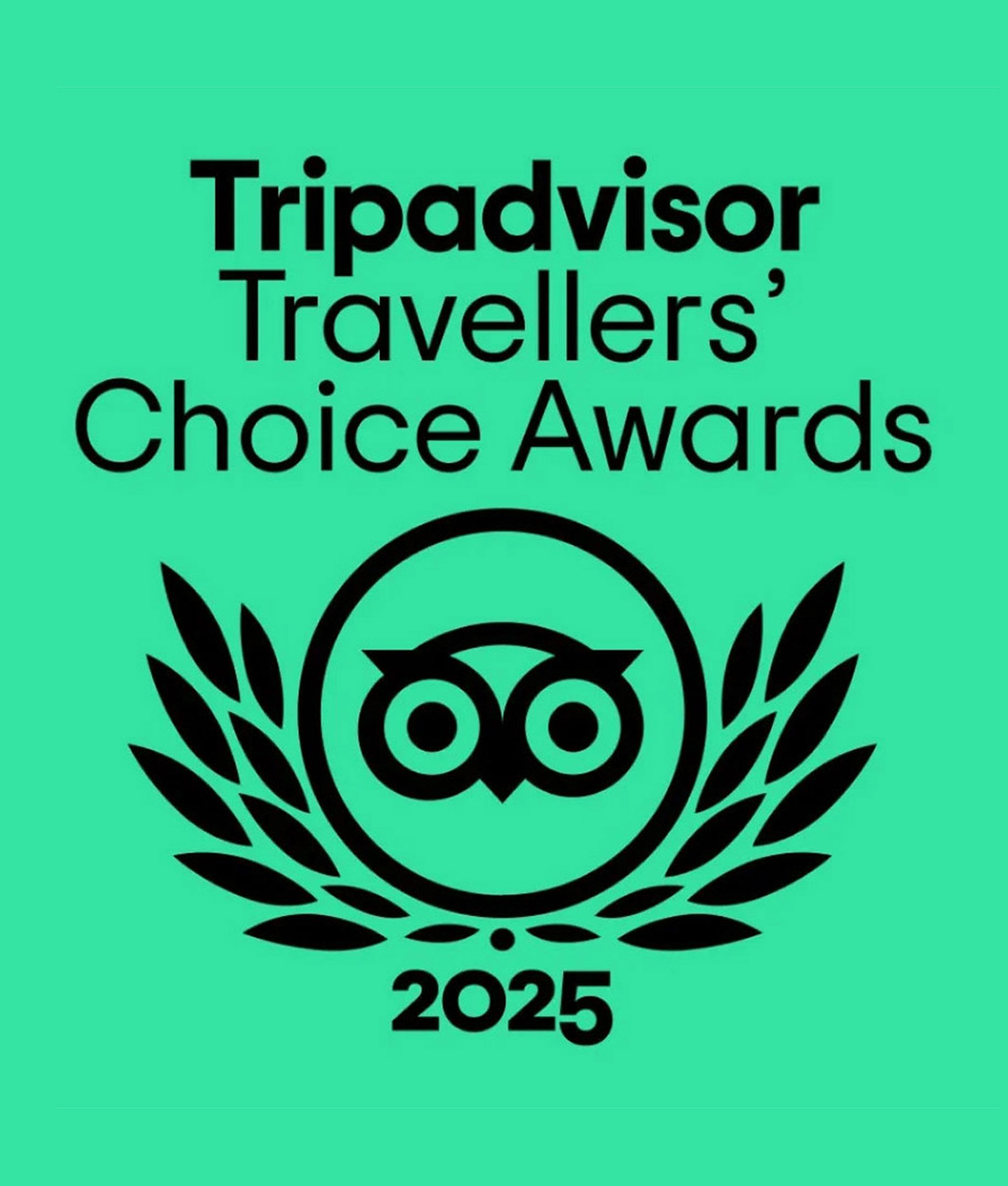 Travelers choice tripadvisor logo on a green background