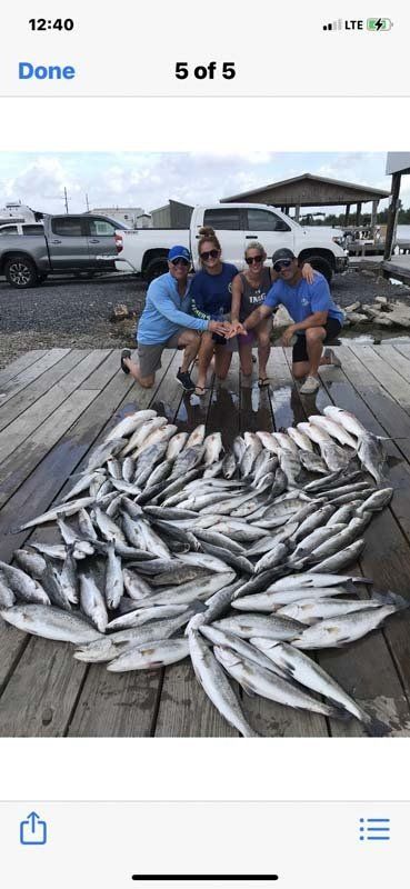 A group of people standing next to a pile of fish on a dock.