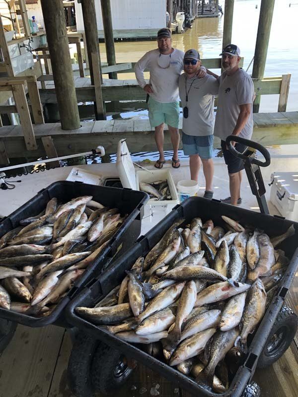Three men are standing next to a cart filled with fish.