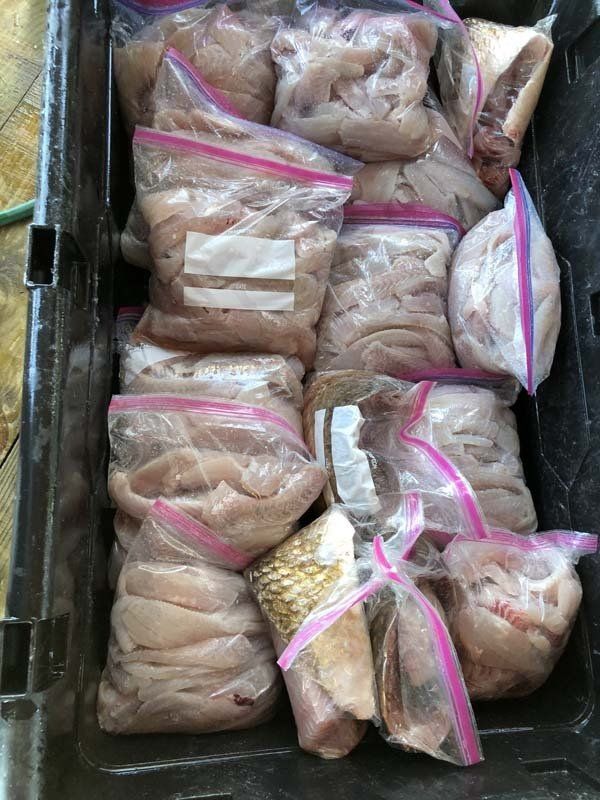 A crate filled with bags of meat and vegetables.