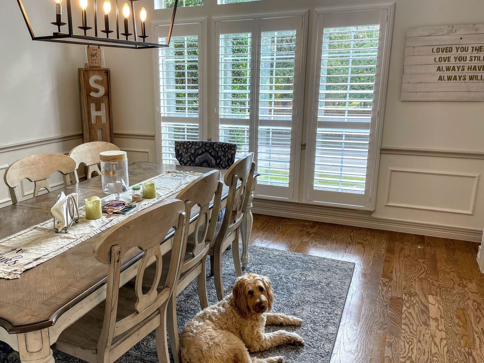 Dining room with a long table, several chairs, and a golden dog lying on a rug.