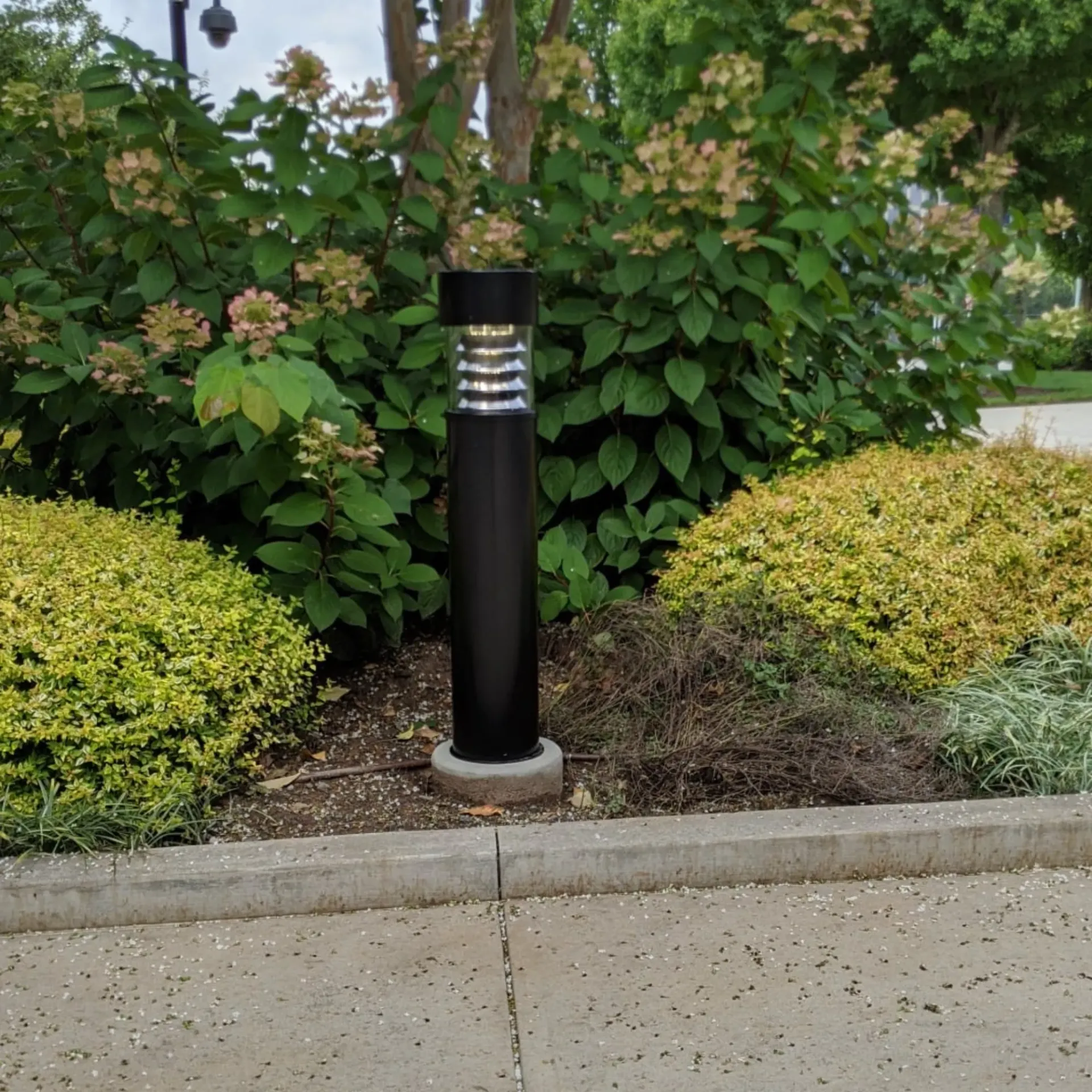 Robinson Electric Company - A black pole with a light on it is in the middle of a garden