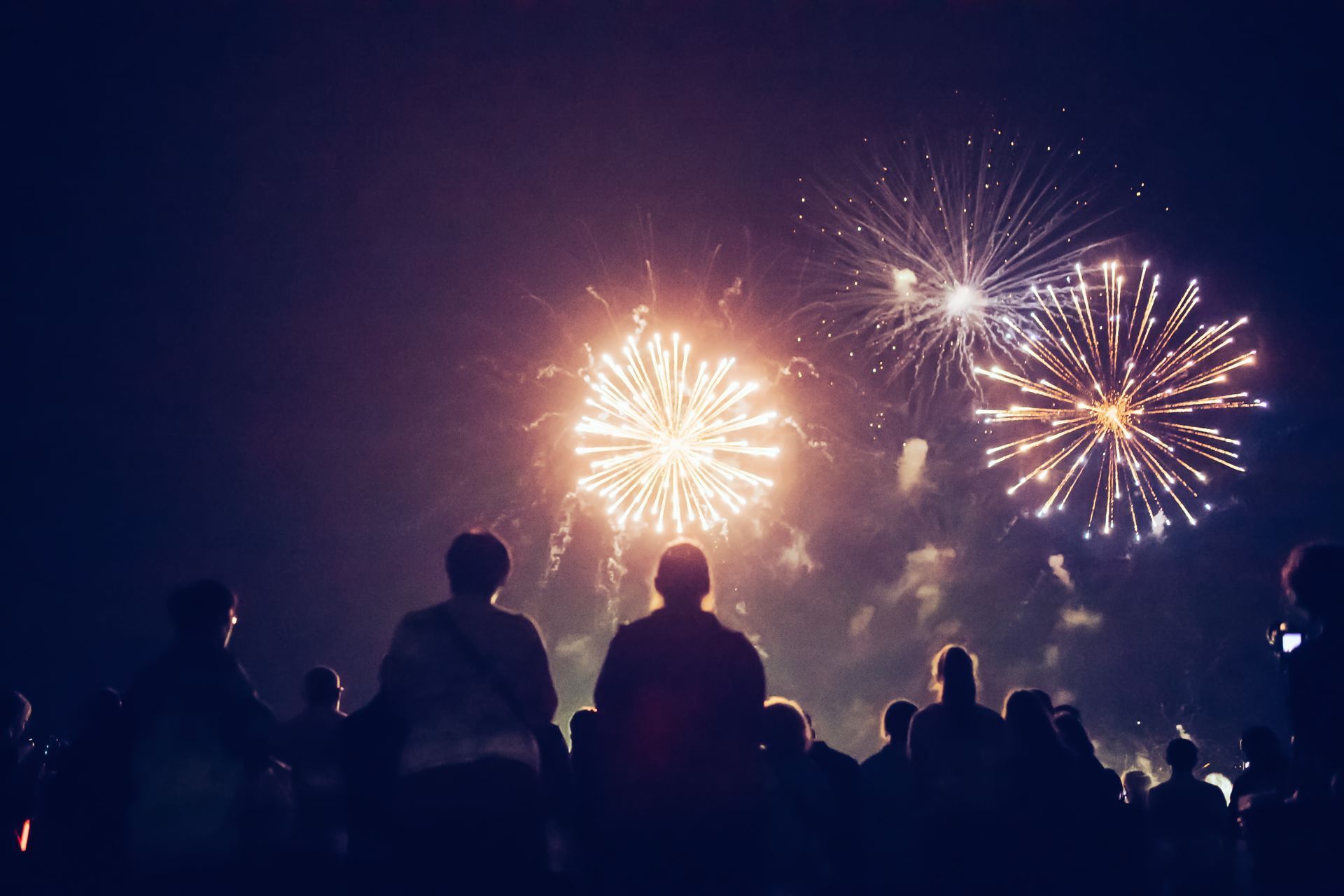 Spectators on a dark night enjoying a fireworks display