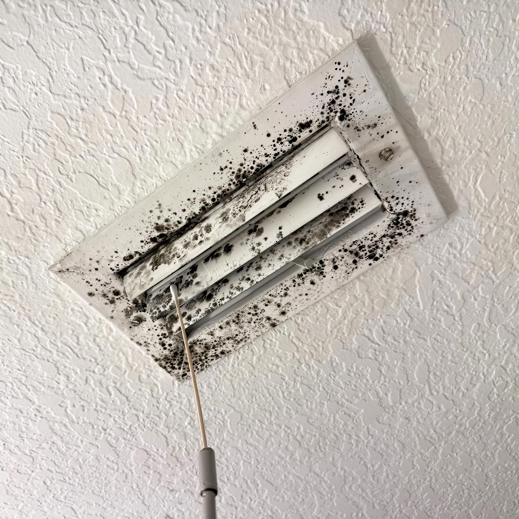 Mold buildup inside air conditioning vent