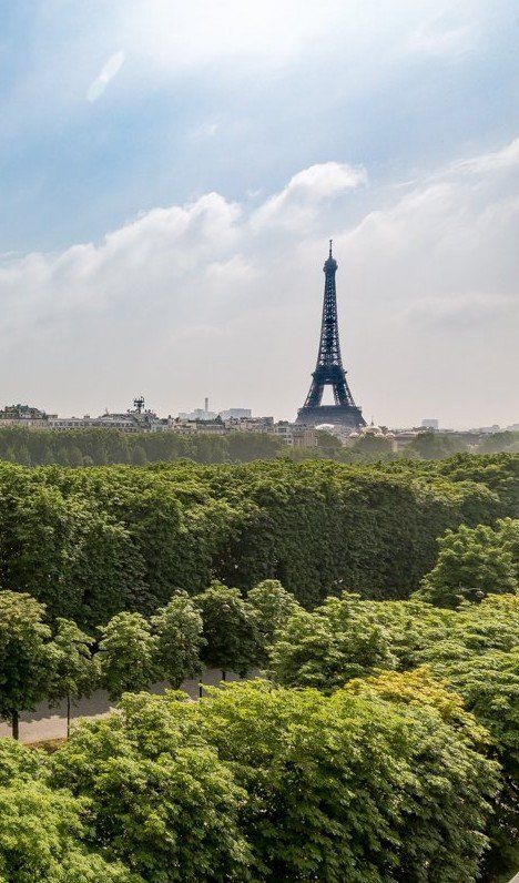 La tour Eiffel est visible à travers les arbres à Paris.