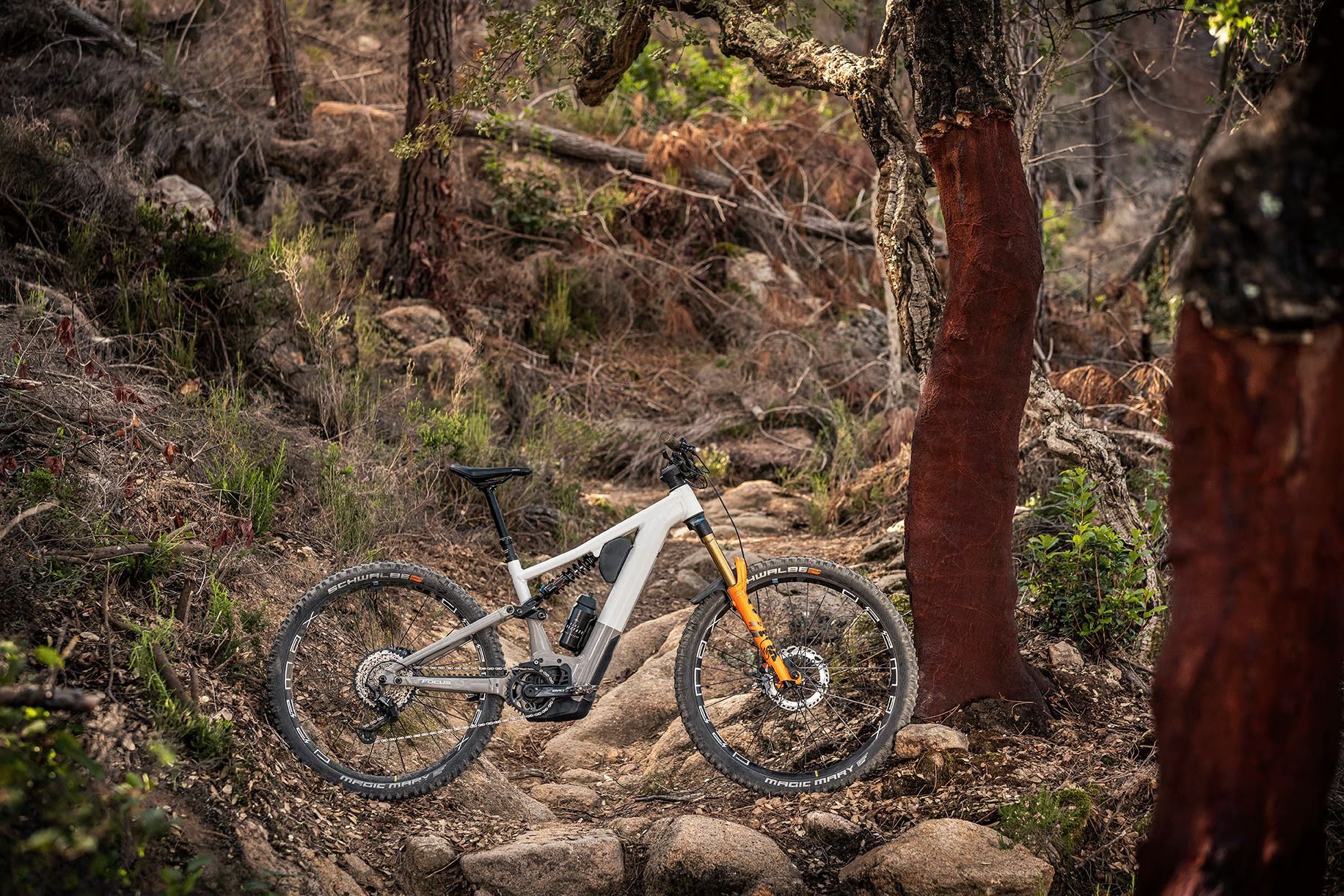 An Electric Bike Is Parked In The Middle Of A Forest Next To A Tree — Trinity Cycle Works In Cairns City, QLD