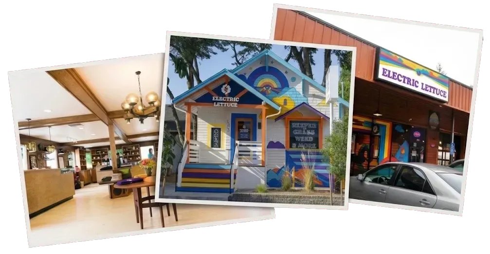 Collage of three photos of electric location locations: a cozy store interior, a colorful muraled store looking like a house, and a storefront at night