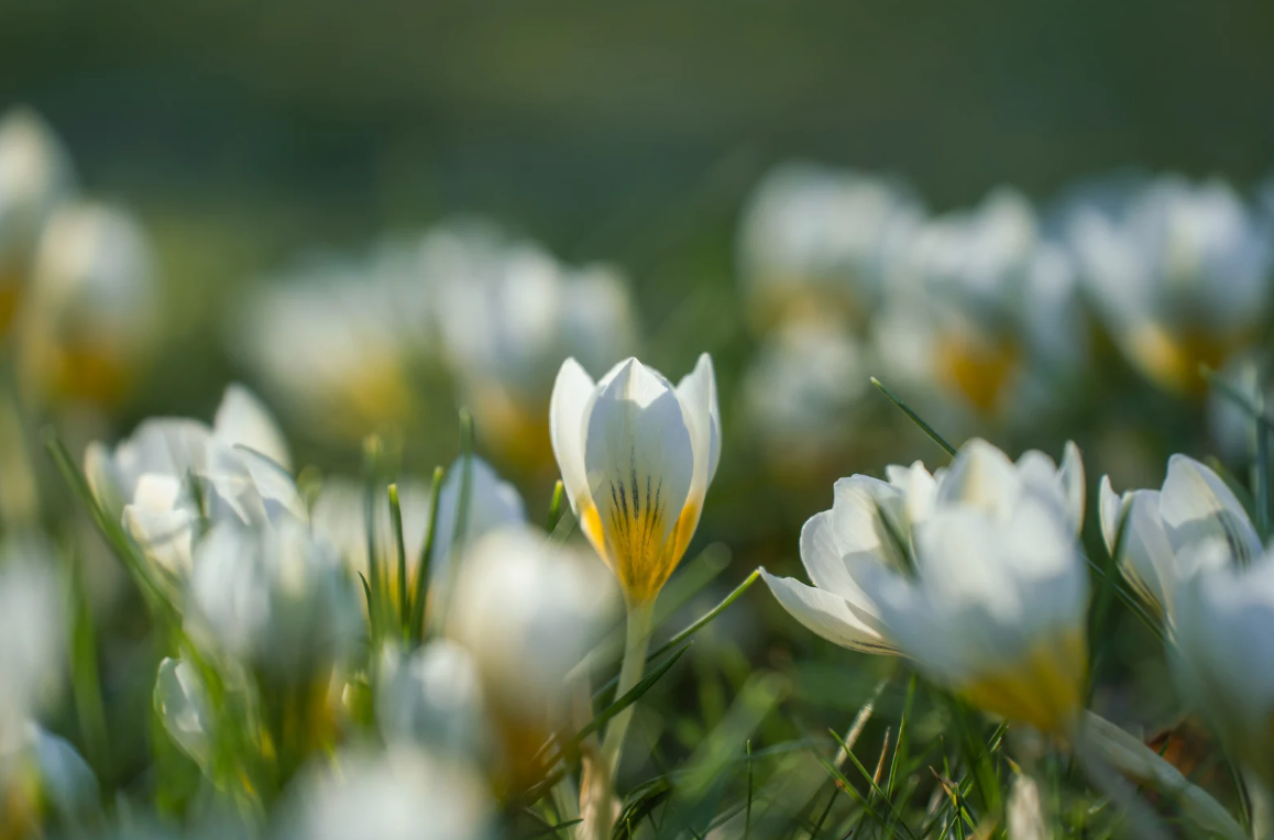 Owner Insights: Spring Edition - 2026