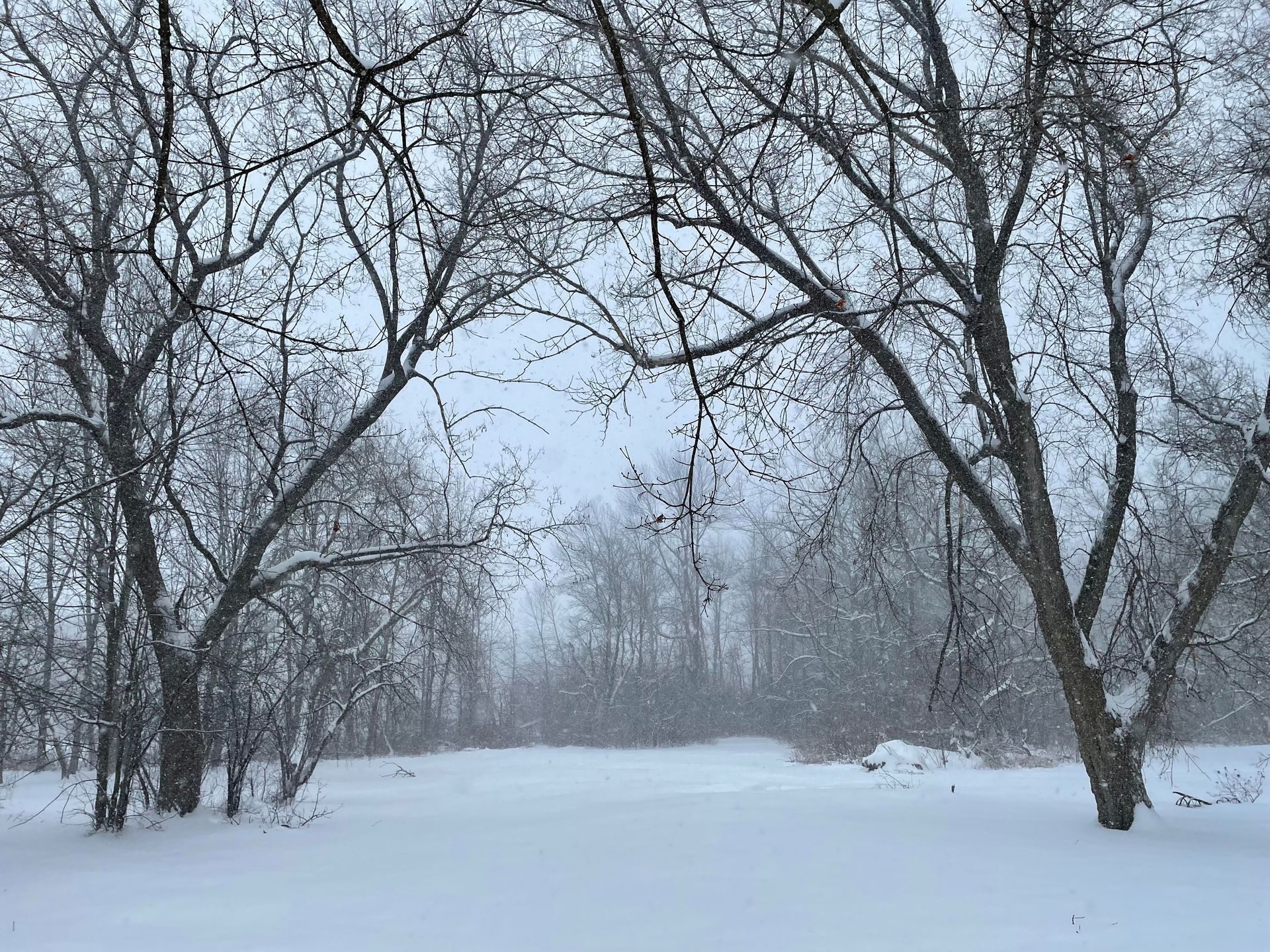 Snow, Shoreham, Snowy view behind Sheep Barn