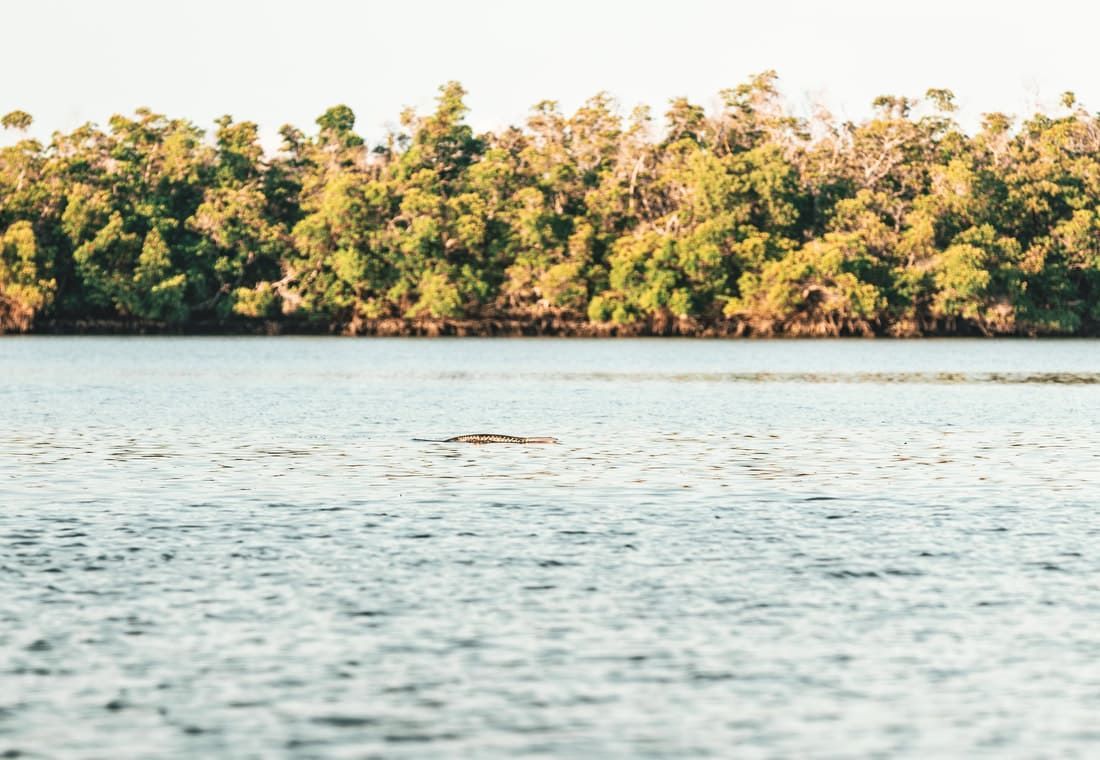 Florida fishing highlights