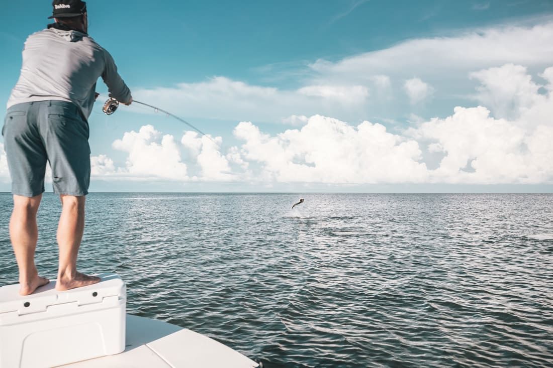 Coastal fishing photo gallery