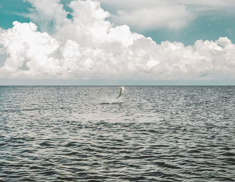 Group fishing trip photos