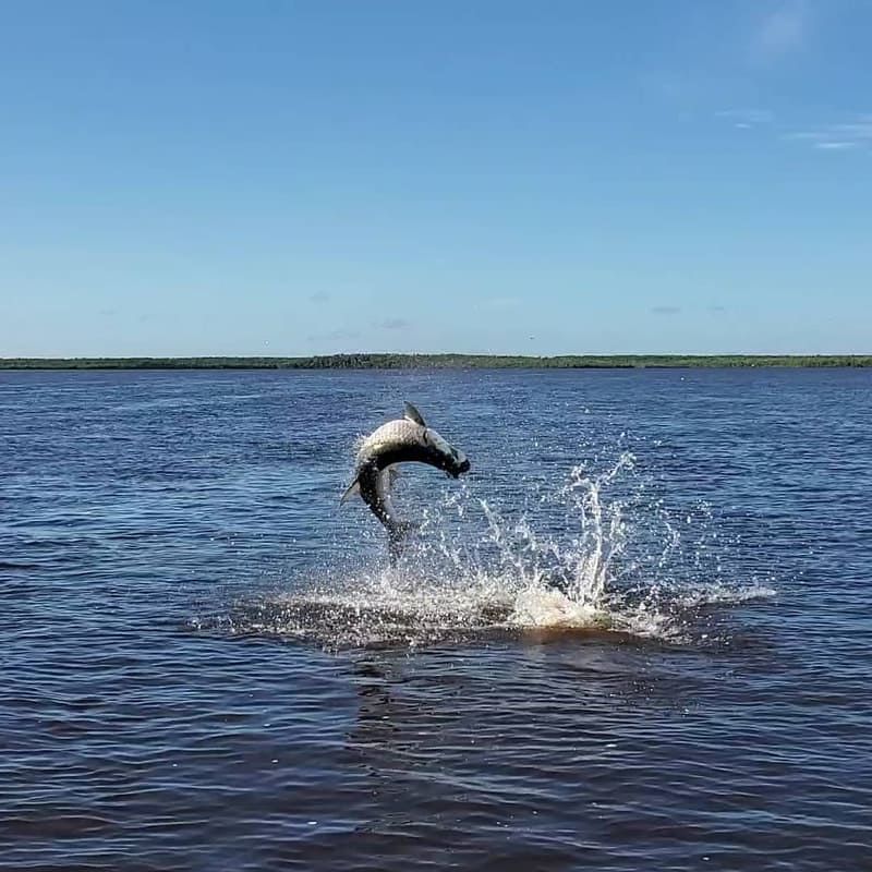 Naples fishing photos
