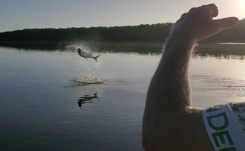 Capturing fishing moments